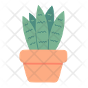 پیش‌نمایش فایل houseplant-4970467 از پک بهار