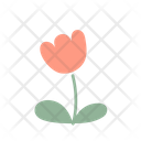 پیش‌نمایش فایل flower-6630322 از پک عناصر کارت تبریک بانمک