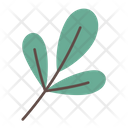 پیش‌نمایش فایل leaf-6900249 از پک گیاهی