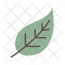 پیش‌نمایش فایل leaf-6900254 از پک گیاهی