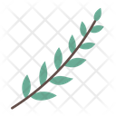 پیش‌نمایش فایل leaves-6900237 از پک گیاهی