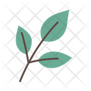 پیش‌نمایش فایل leaves-6900243 از پک گیاهی