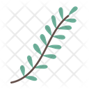 پیش‌نمایش فایل leaves-6900245 از پک گیاهی
