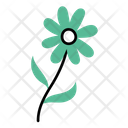 پیش‌نمایش فایل floral-6900262 از پک گیاهی