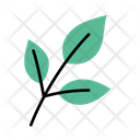 پیش‌نمایش فایل leaves-6900263 از پک گیاهی