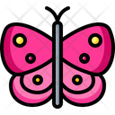 پیش‌نمایش فایل butterfly-3980884 از پک بهار