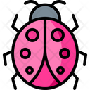 پیش‌نمایش فایل ladybug-3980868 از پک بهار
