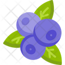 پیش‌نمایش فایل blueberry-4005471 از پک فروشگاه بزرگ