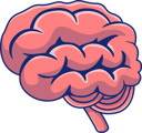 پیش‌نمایش فایل brain-11158354 از پک اندام داخلی انسان