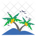 پیش‌نمایش فایل coconut-tree-6820865 از پک دریا