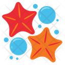 پیش‌نمایش فایل star-6820883 از پک دریا