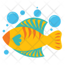 پیش‌نمایش فایل yellow-fish-6820886 از پک دریا