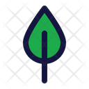 پیش‌نمایش فایل leaf-8137873 از پک زمان بهار