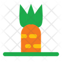 پیش‌نمایش فایل carrot-8137890 از پک زمان بهار