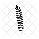 پیش‌نمایش فایل floral-8618877 از پک المان‌های گیاهی گلدار زیبایی شناختی