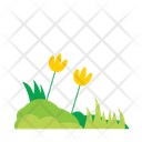 پیش‌نمایش فایل green-grass-9710442 از پک چمن سبز