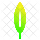 پیش‌نمایش فایل leaf-1896977 از پک برگ