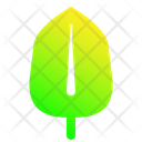 پیش‌نمایش فایل leaf-1896979 از پک برگ