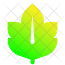 پیش‌نمایش فایل leaf-1896988 از پک برگ
