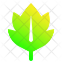 پیش‌نمایش فایل leaf-1896991 از پک برگ