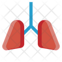 پیش‌نمایش فایل lungs-1928517 از پک مراقبت های بهداشتی و پزشکی