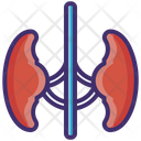 پیش‌نمایش فایل kidney-1928483 از پک مراقبت های بهداشتی و پزشکی