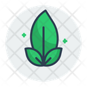 پیش‌نمایش فایل leaf-4007033 از پک بوم شناسی