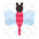 پیش‌نمایش فایل dragonfly-4969253 از پک بهار