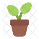 پیش‌نمایش فایل flower-pot-4969256 از پک بهار