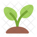 پیش‌نمایش فایل sprout-4969267 از پک بهار