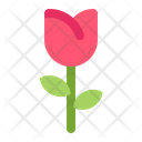 پیش‌نمایش فایل tulip-4969275 از پک بهار