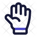 پیش‌نمایش فایل gloves-5482119 از پک بهار