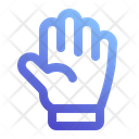 پیش‌نمایش فایل gloves-5491251 از پک بهار