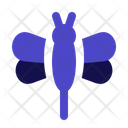 پیش‌نمایش فایل dragonfly-5722703 از پک بهار