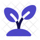 پیش‌نمایش فایل sprout-5722717 از پک بهار