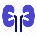 پیش‌نمایش فایل kidney-5735013 از پک پزشکی
