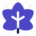 پیش‌نمایش فایل maple-leaf-5804246 از پک پاییز
