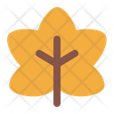 پیش‌نمایش فایل maple-leaf-5804196 از پک پاییز