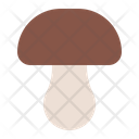 پیش‌نمایش فایل mushroom-5804198 از پک پاییز