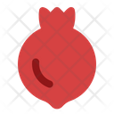 پیش‌نمایش فایل pomegranate-5804203 از پک پاییز