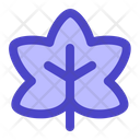 پیش‌نمایش فایل maple-leaf-5991266 از پک پاییز