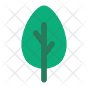 پیش‌نمایش فایل leaf-5985836 از پک اکولوژی