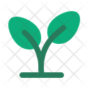 پیش‌نمایش فایل sprout-5985857 از پک اکولوژی