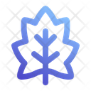 پیش‌نمایش فایل maple-leaf-7148305 از پک هوگه