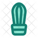 پیش‌نمایش فایل cactus-7169746 از پک هوگه