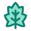 پیش‌نمایش فایل maple-leaf-7169771 از پک هوگه