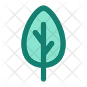 پیش‌نمایش فایل leaf-7418888 از پک اکولوژی