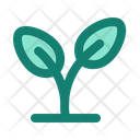پیش‌نمایش فایل sprout-7418909 از پک اکولوژی