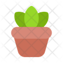 پیش‌نمایش فایل plant-9542250 از پک مبلمان