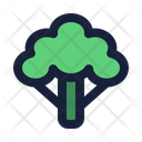 پیش‌نمایش فایل broccoli-10265125 از پک غذا و نوشیدنی